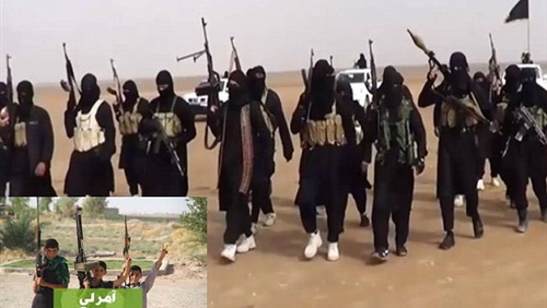 صمود امرلي وتراجع