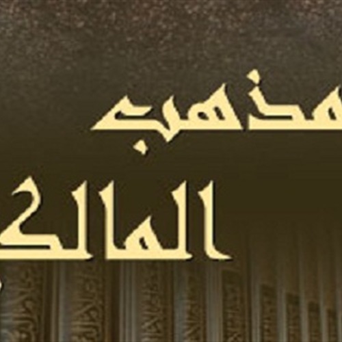 بوابة الحركات الاسلامية المذهب المالكي الاعتماد على النص والنقل والأثر