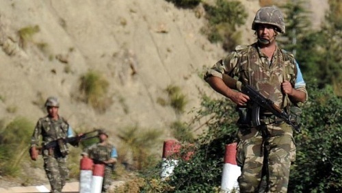 العنف في الجزائر..