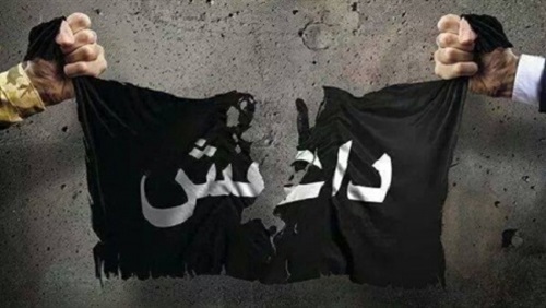 معاقل داعش تتهاوى