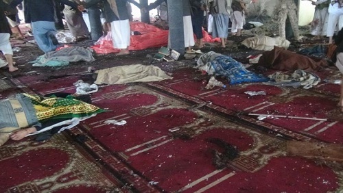 باحثة أمريكية تحلل