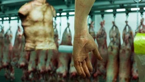 أشلاء الأبرياء تجارة