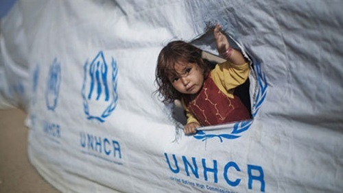 البحث عن فرصة فى