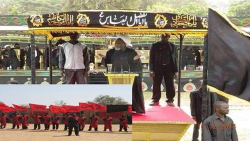 	استهداف بوكو حرام