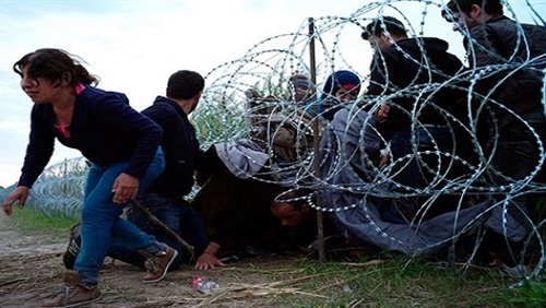 بالأرقام ..سوريا