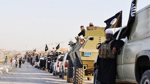 الرمادى خالية من