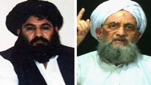 بعد رفض دعوة الظواهري..