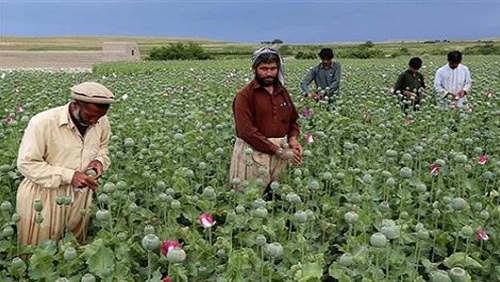 بعد الاستيلاء علي