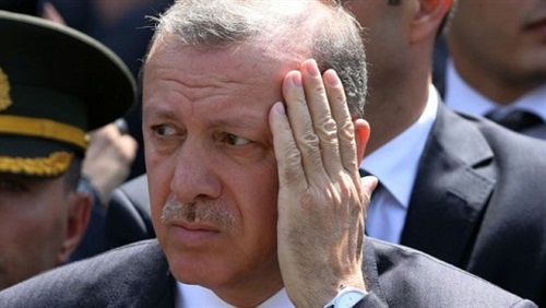 واقع تركيا بين أخطبوط