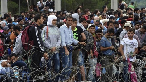 المهاجرون يتدفقون