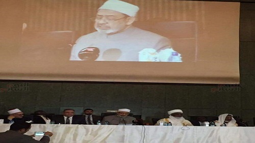 شيخ الأزهر من نيجيريا: