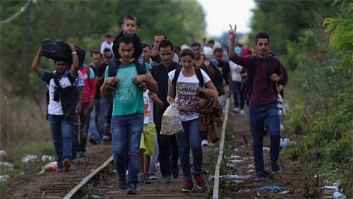 تصاعد أزمة اللاجئين