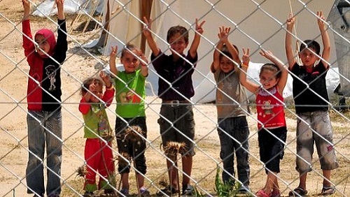 فى اليوم العالمى