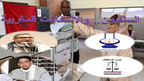 السلفيون والانتخابات