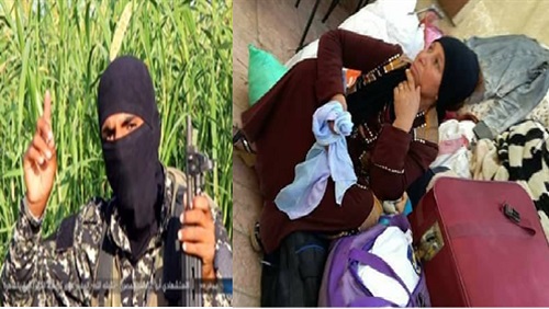 مع ادانة الأزهر والكنائس..