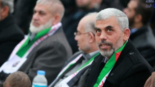 بعد ظهور السنور علنياً..