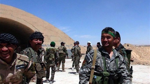 فيلق فاطميون.. أداة