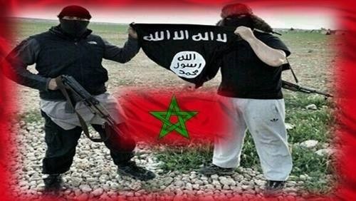 رغم إحباطها 361 عملا