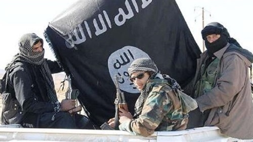 حصاد 19 أسبوعًا من