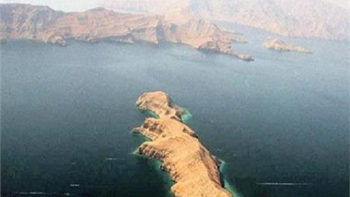 باحث يكشف دور اذرع