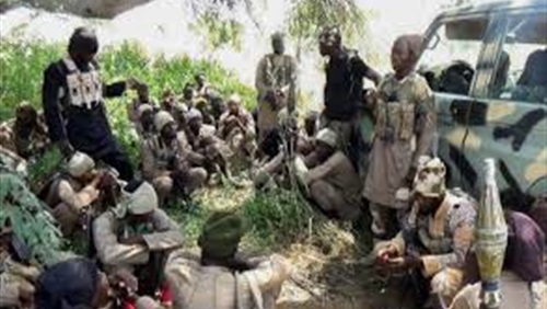 بوكو حرام وتوسيع