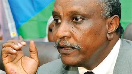 التدخل التركي في