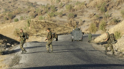 التدخل التركي في