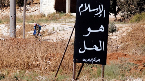 المداخلة والإخوان