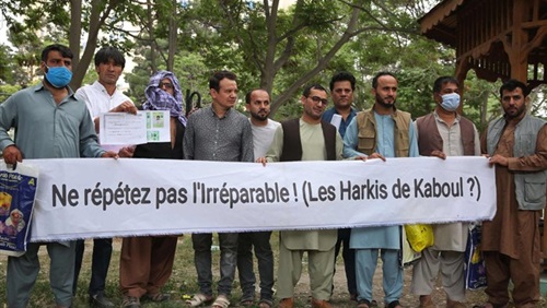 موقف طالبان من المترجمين