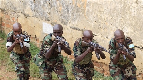 بالتعاون مع القوات