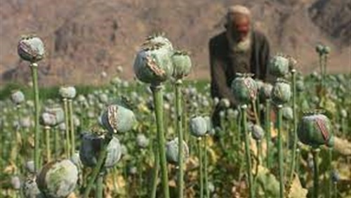 من طالبان إلى حزب