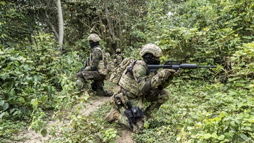 مواجهة داعش والقاعدة