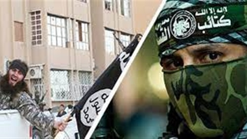 علاقات ارهابية ..