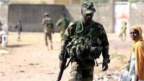 الكاميرون: بوكو حرام
