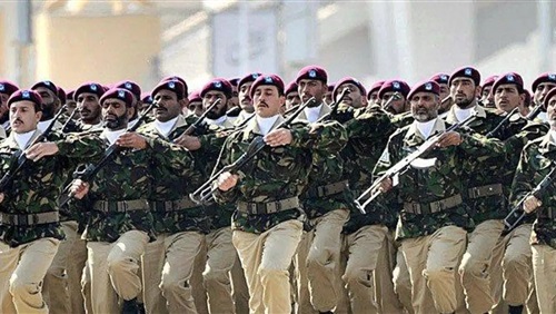 استراتيجية باكستان