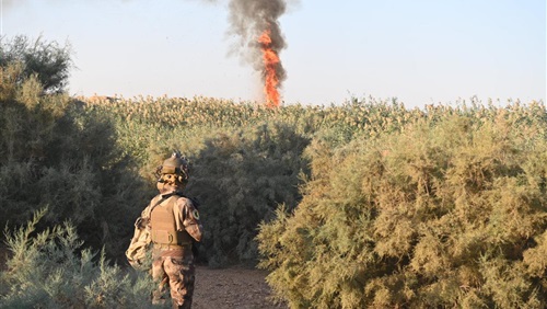 الوحش يستيقظ  ..داعش