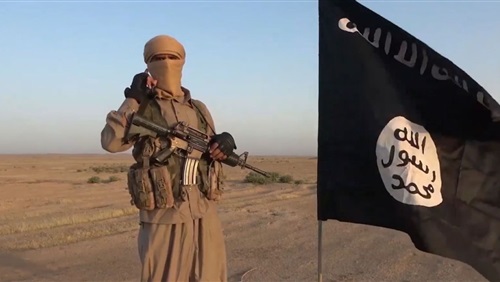 تقرير سويدي يكشف..