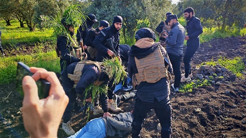 سوريا تعلن إحباط