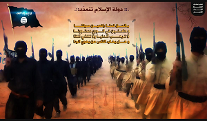 تنظيم القاعدة