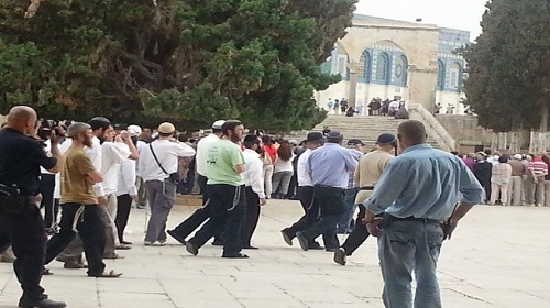 35 مستوطناً متطرفاً
