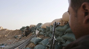 القوات الكردية تلاحق