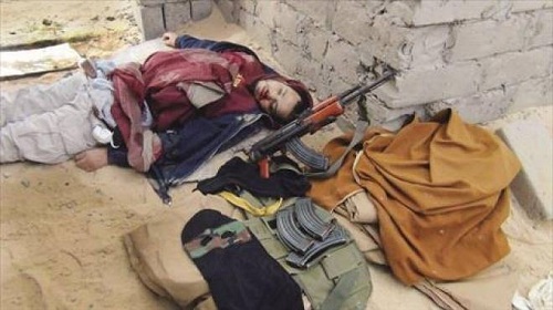 قيادي جهادي لـ«الوطن»