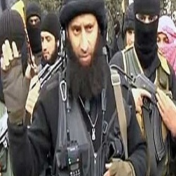 تركيا بين استقبالها