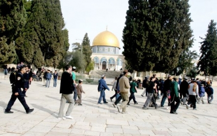 مفتى القدس يدعو إلى