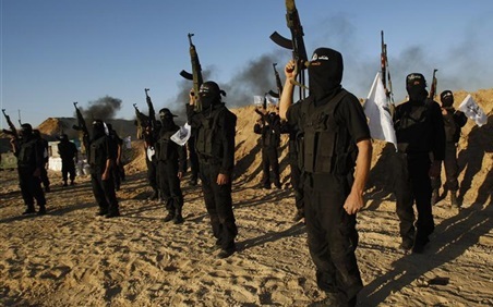 فتاوى التكفير