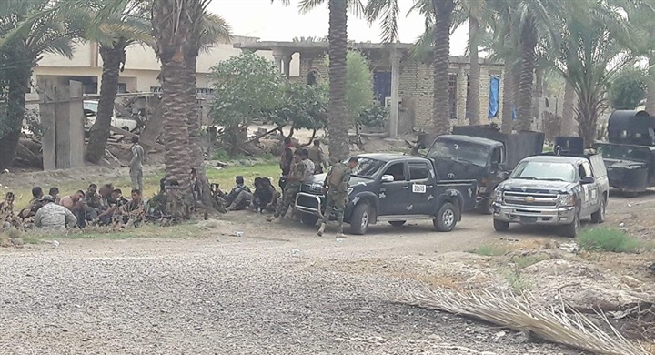 ماذا يعني تحرير الفلوجة