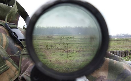 داعش في مصر: