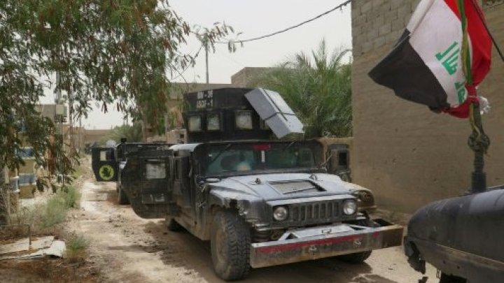 تحرير الفلوجة