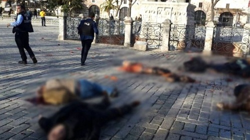 مجددًا.. إرهابٌ يحمل