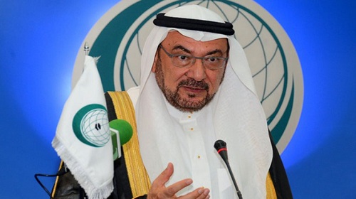 الأمين العام لمنظمة